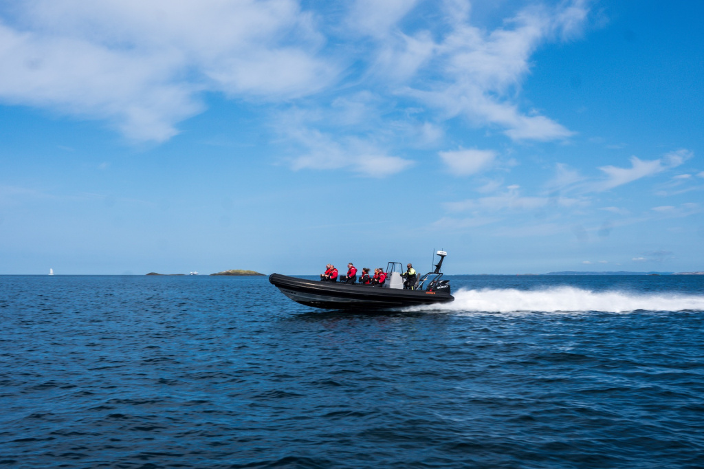 Viking Adventure RIB tur.